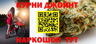 сатива Рязань